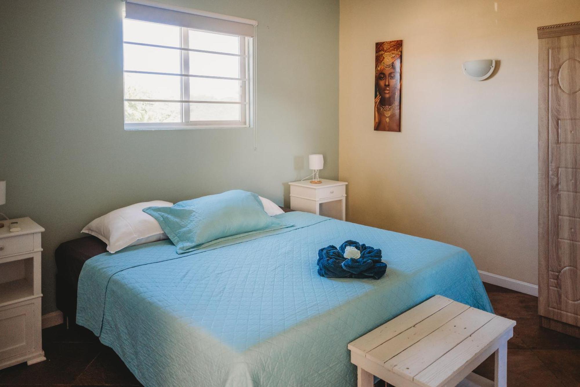 Pura Vida Aruba Appartement Palma Noord Zewnętrze zdjęcie